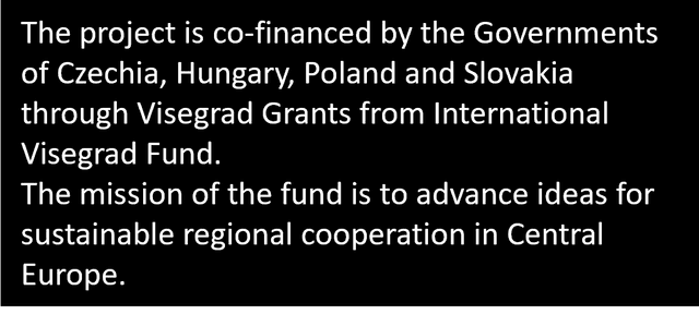 Logo visegrad fund