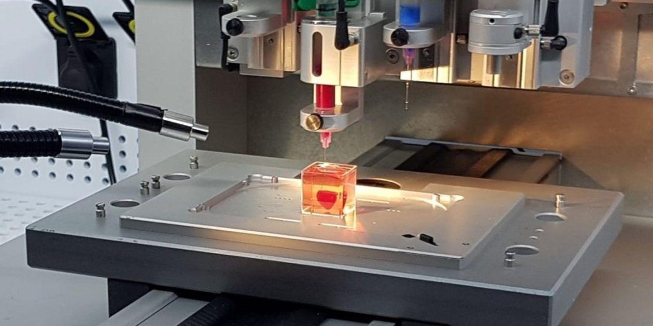 Photo of 3D printed heart using human cells on the table