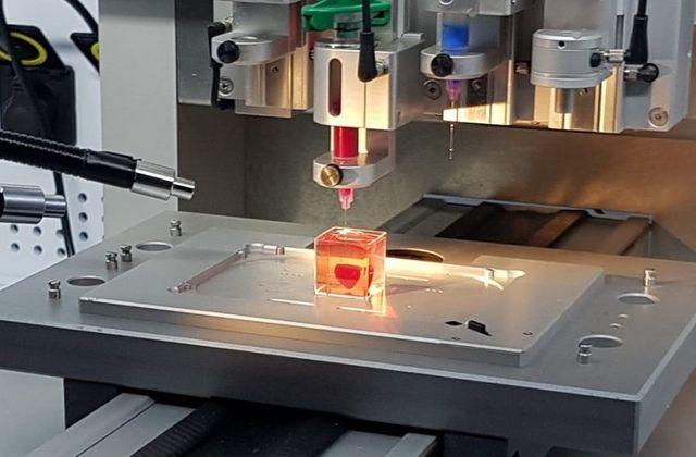 Photo of 3D printed heart using human cells on the table