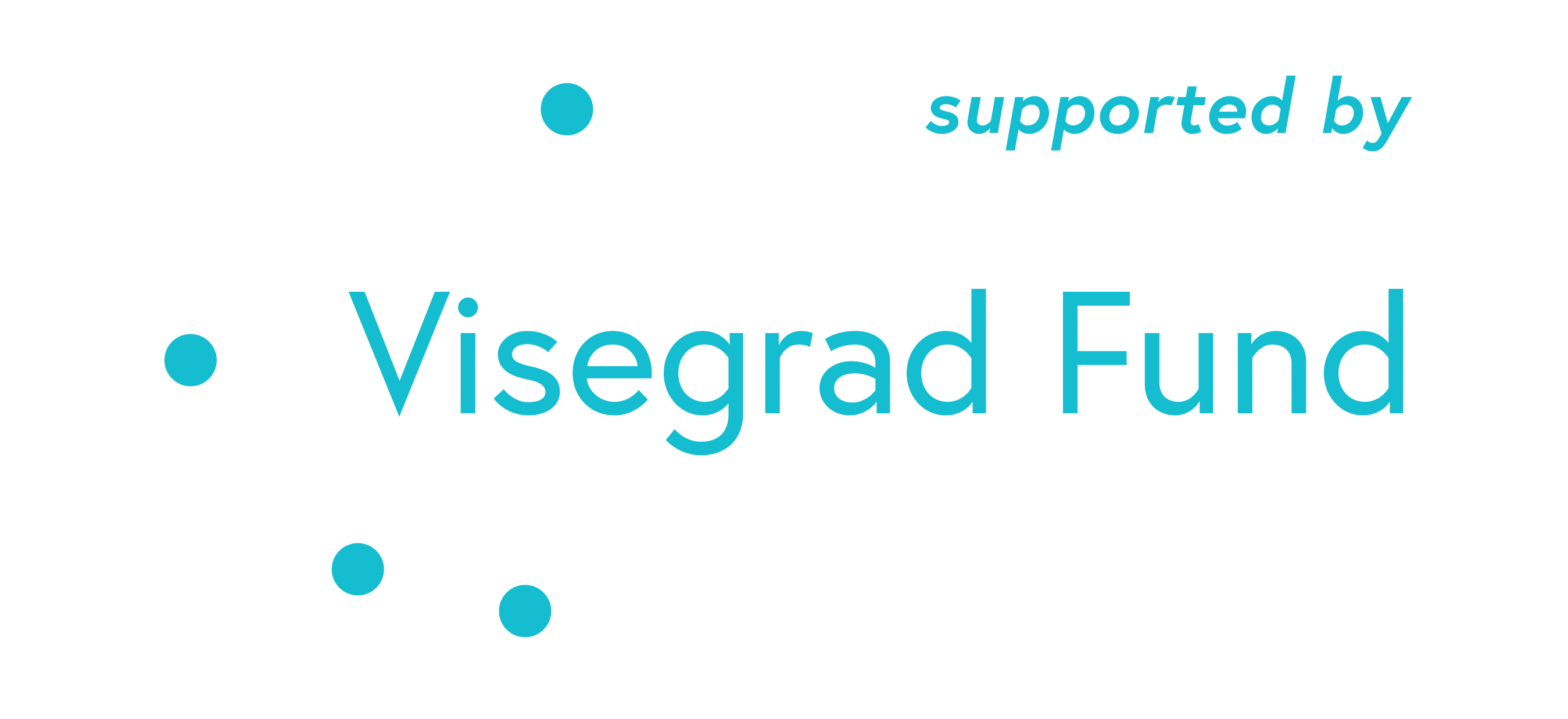 International Visegrad Fund